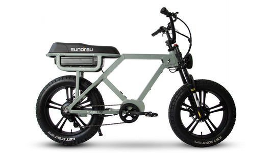 Vélo électrique E-Vélo EUNORAU QUEBEC Flash Lite 1.0 avec cadre en aluminium et moteur puissant, image montrant le vélo en extérieur